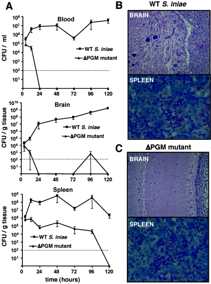 FIG. 7.