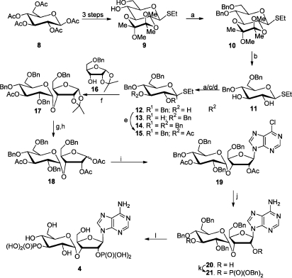 Scheme 1