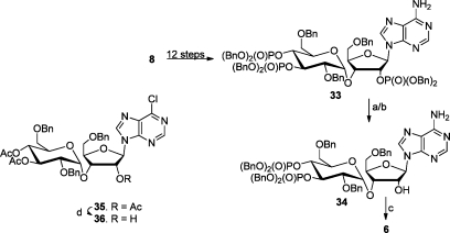 Scheme 3