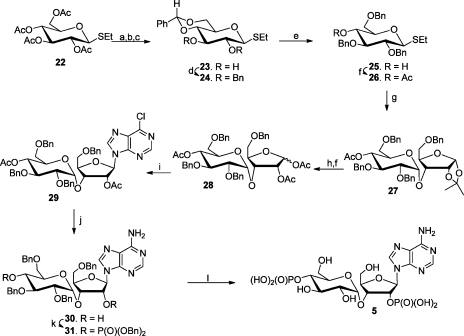 Scheme 2