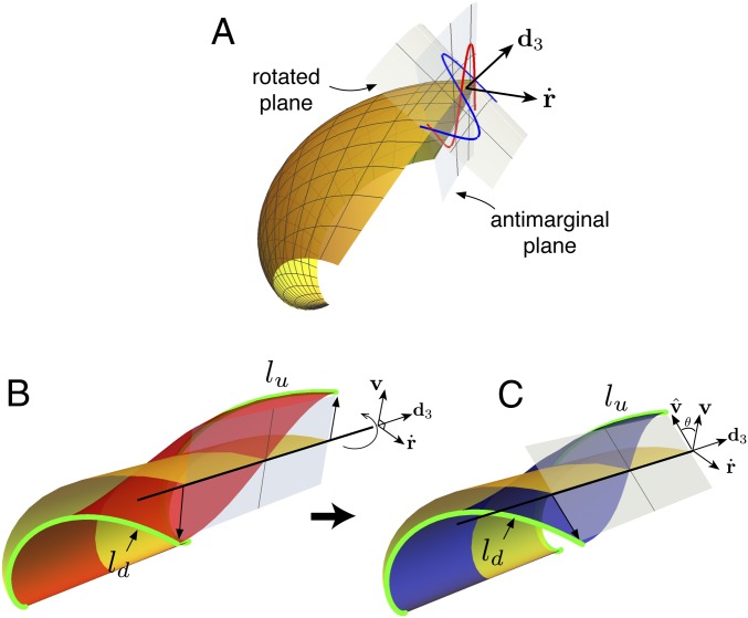 Fig. 3.