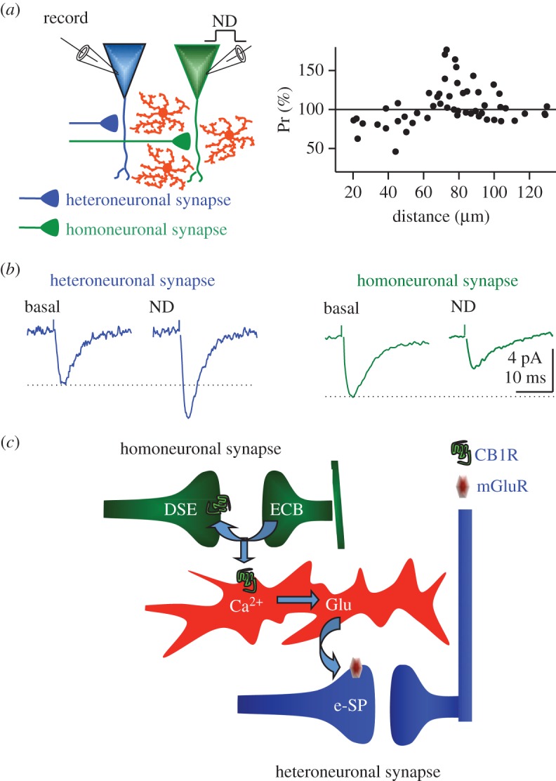 Figure 2.