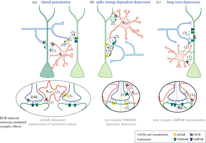 Figure 3.