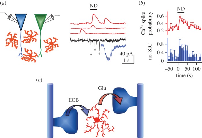 Figure 1.