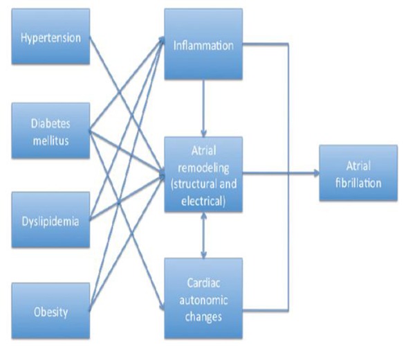 Figure 1.