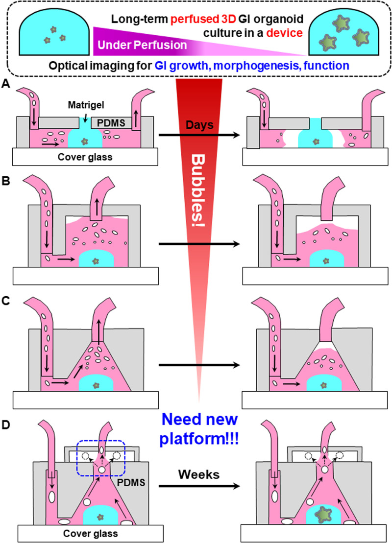 FIG. 1.