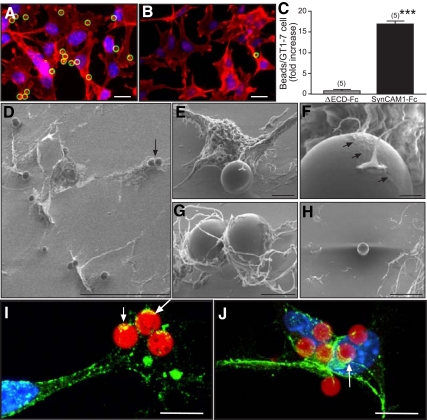 Fig. 4.