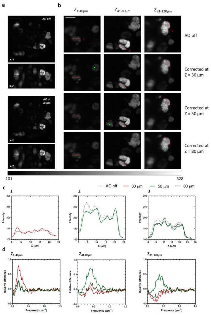 Figure 7