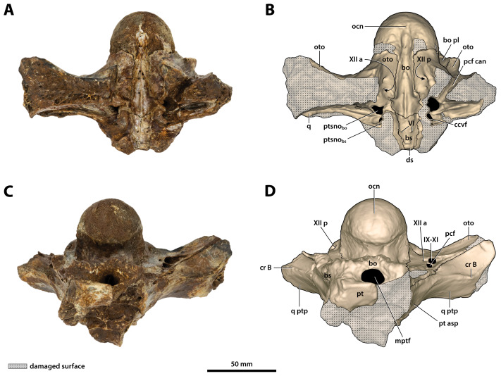 Figure 25