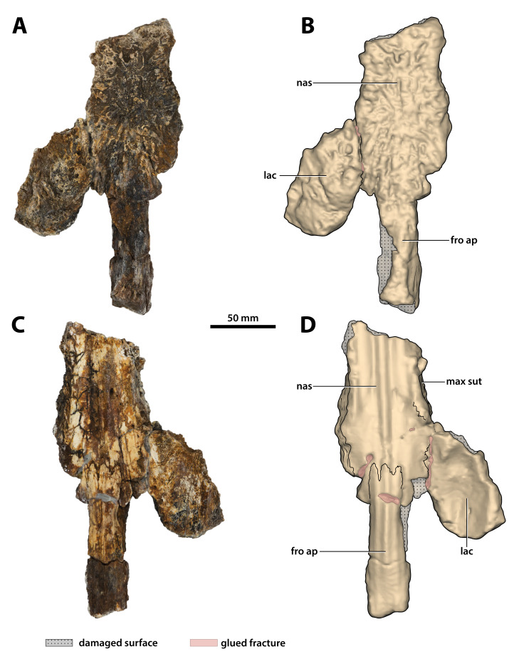 Figure 15