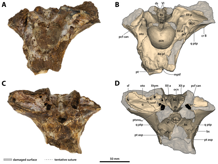 Figure 24