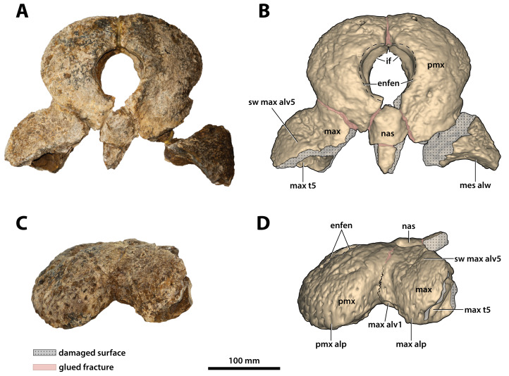 Figure 9