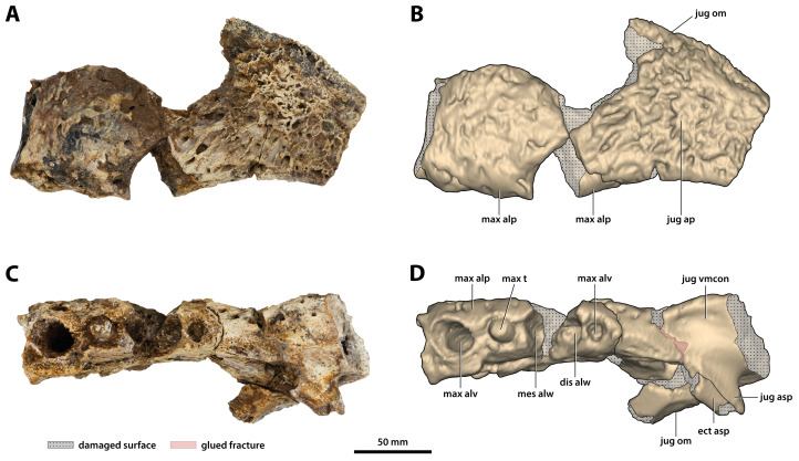 Figure 13