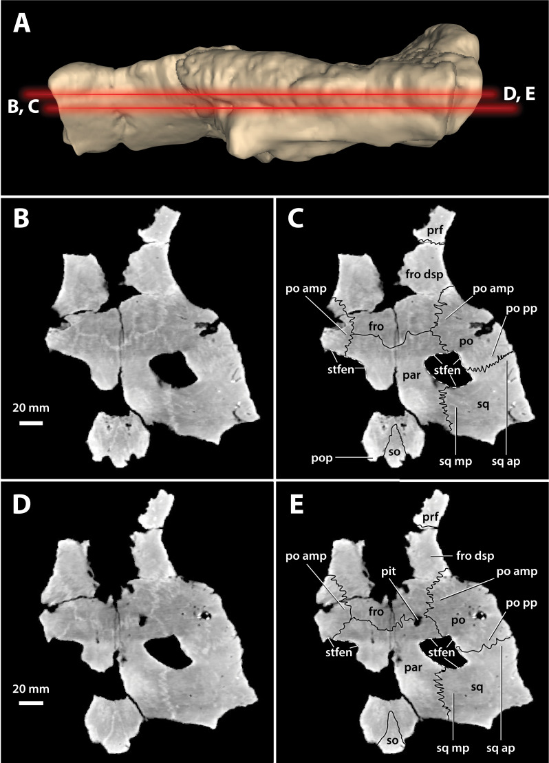 Figure 17