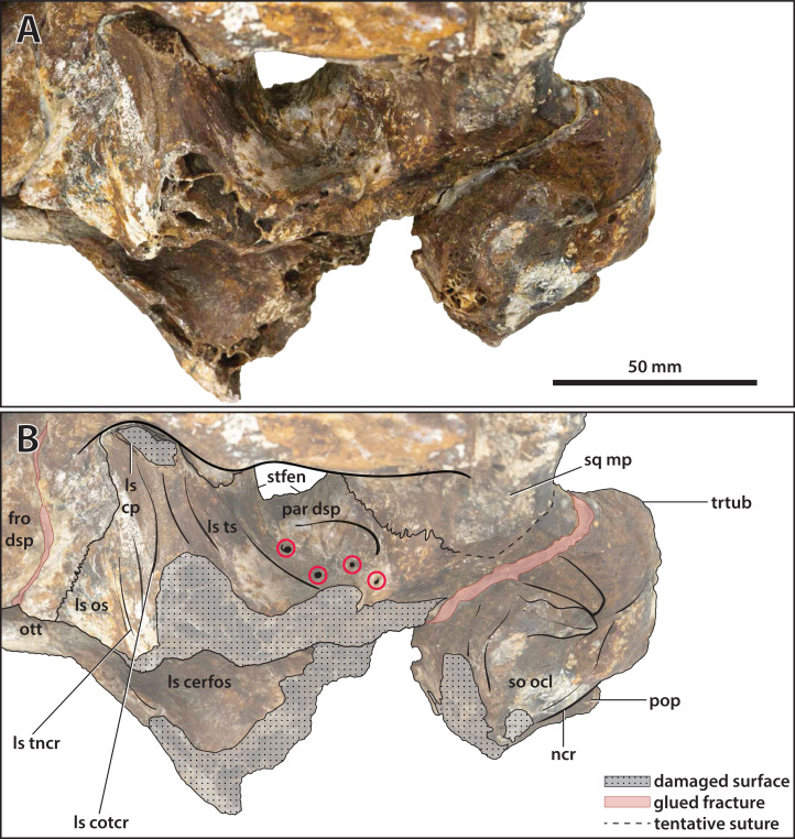 Figure 23