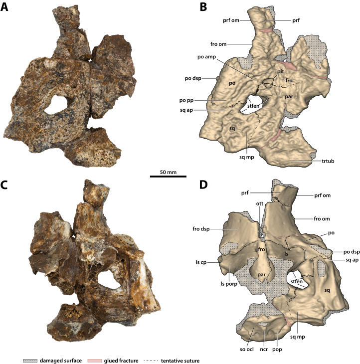 Figure 16