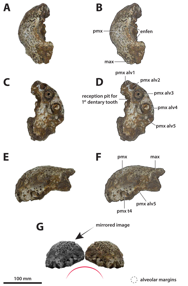 Figure 36