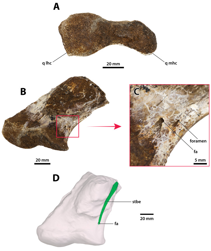 Figure 28