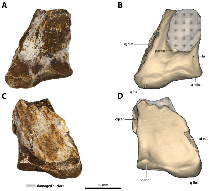 Figure 27