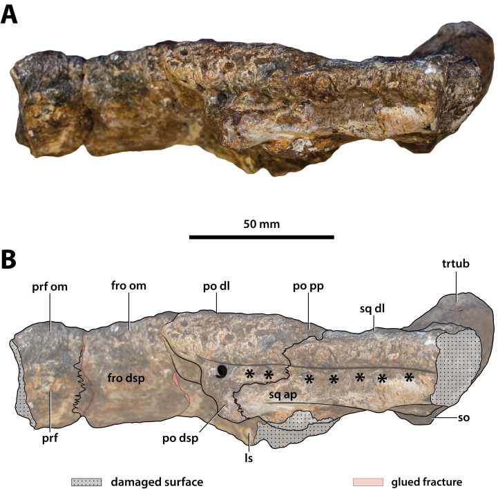 Figure 18