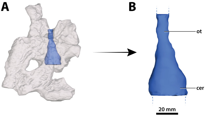 Figure 31