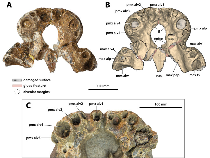 Figure 10