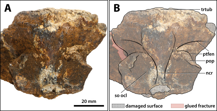 Figure 22