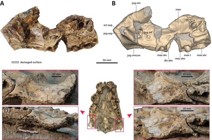 Figure 14