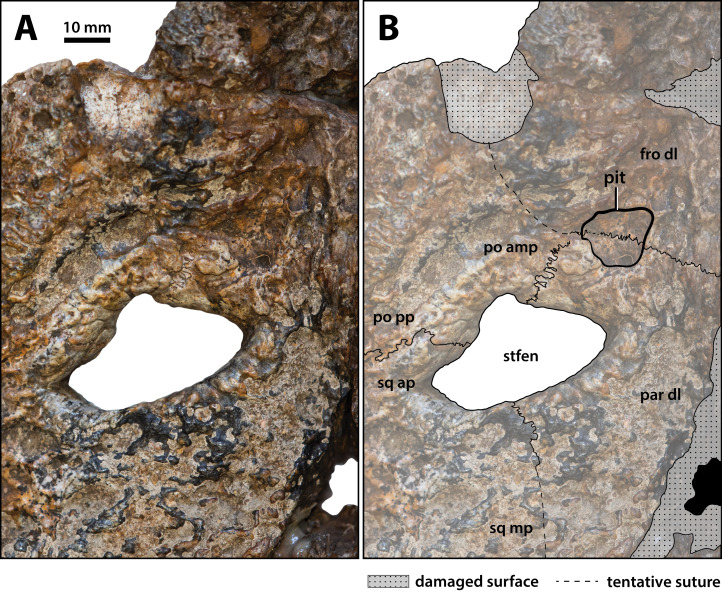 Figure 19