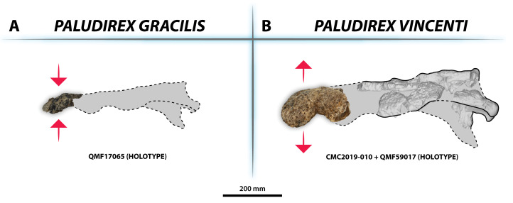 Figure 33