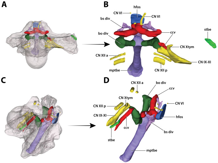 Figure 32