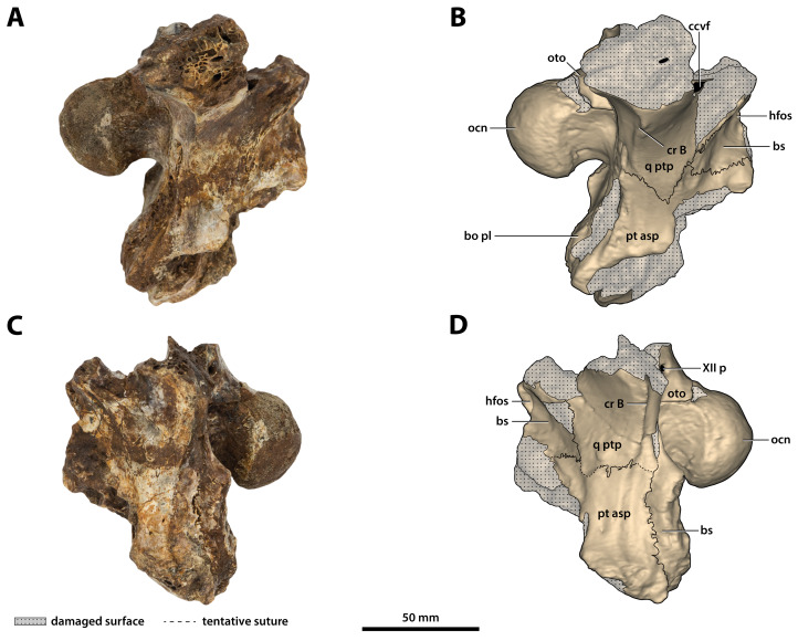 Figure 26