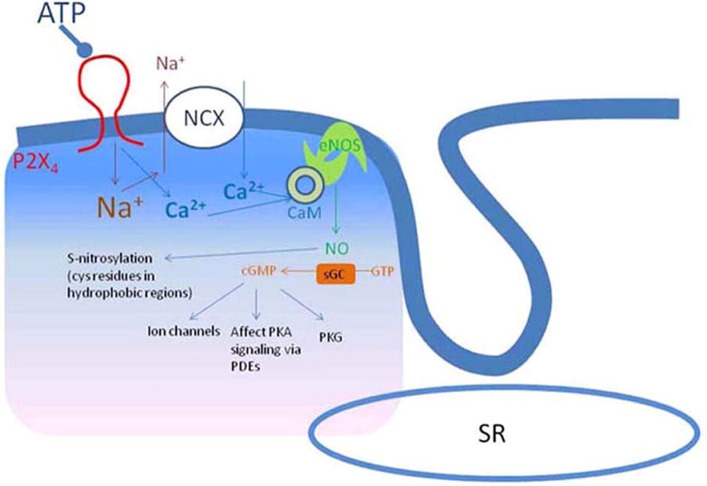 Fig. 6