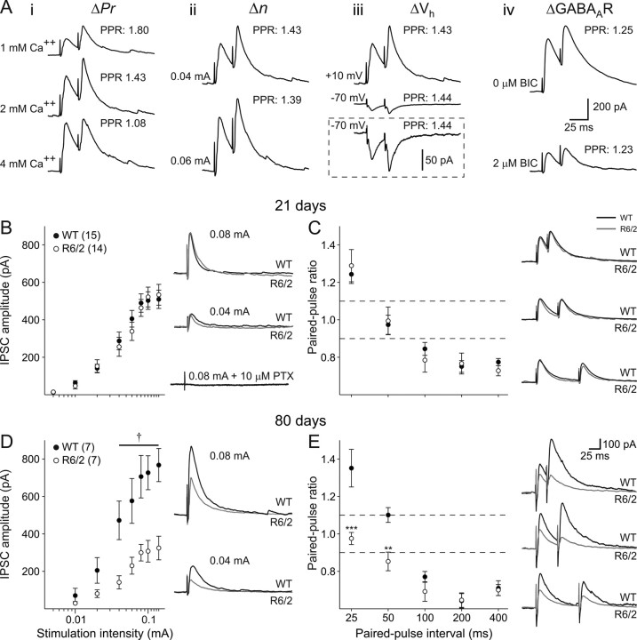 Figure 10.