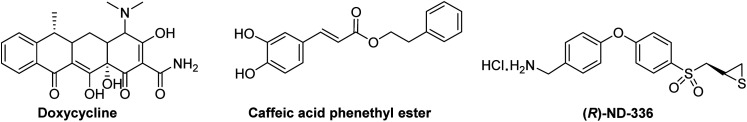 Fig. 12