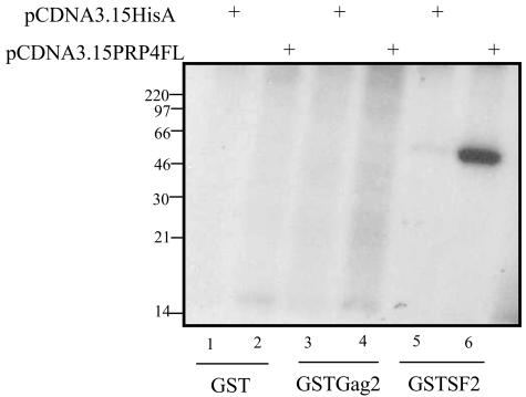 FIG. 5.