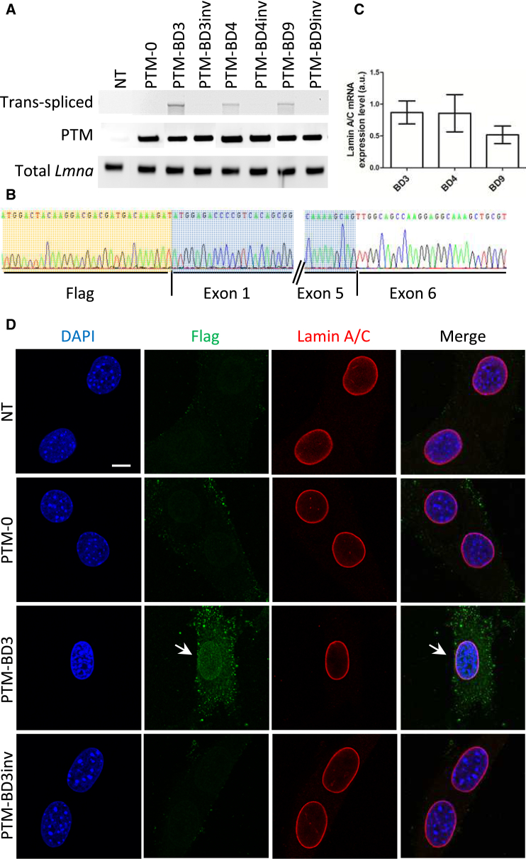 Figure 2