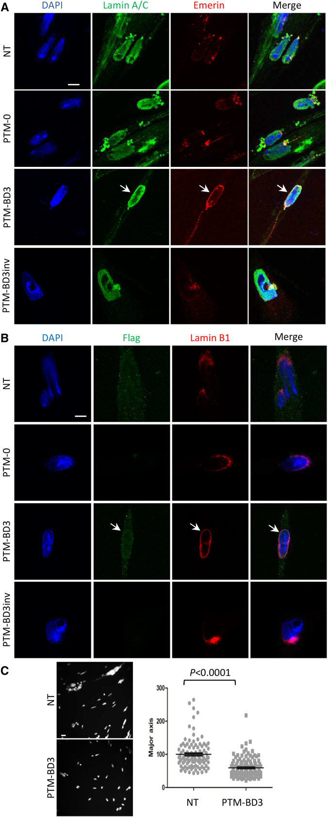 Figure 5