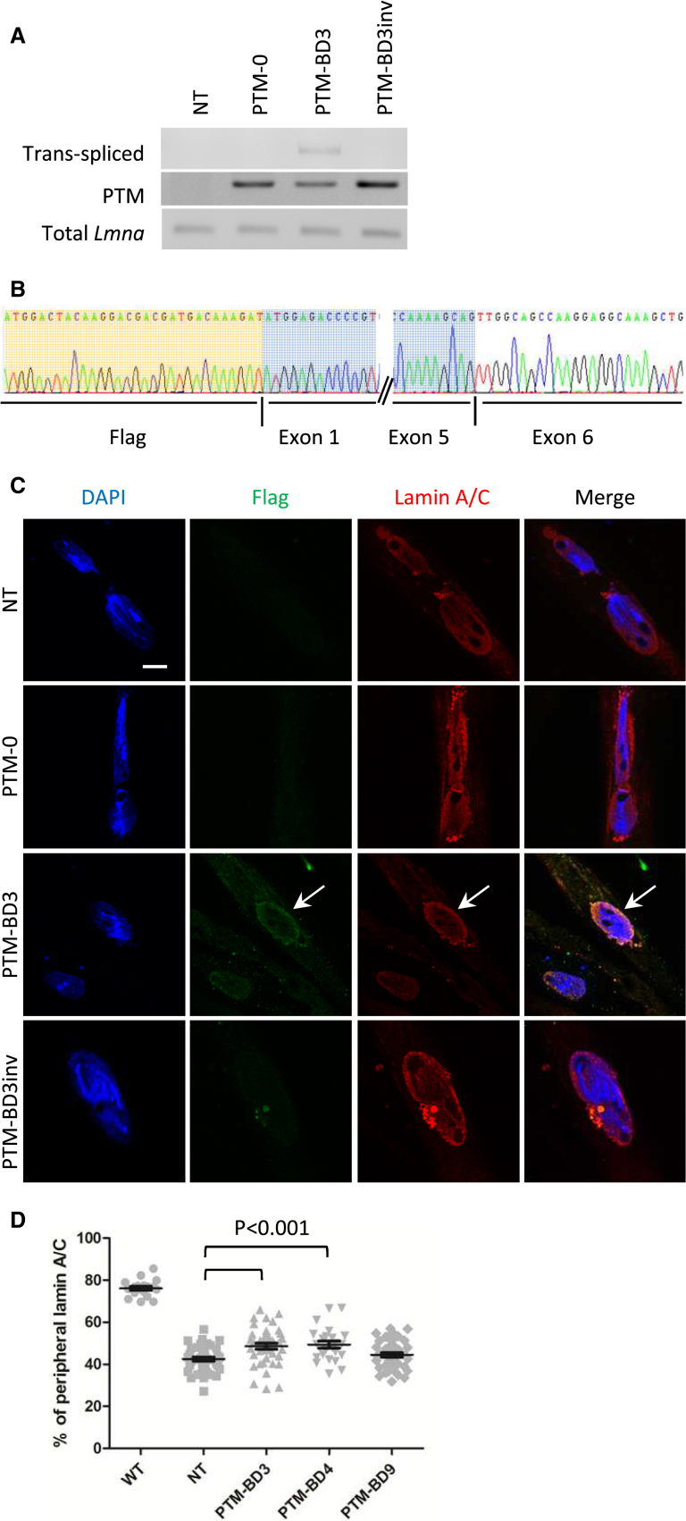 Figure 4