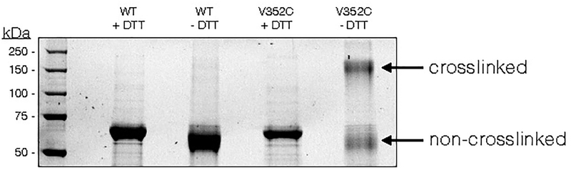 Extended Data Fig. 8