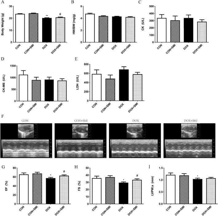 Fig. 12