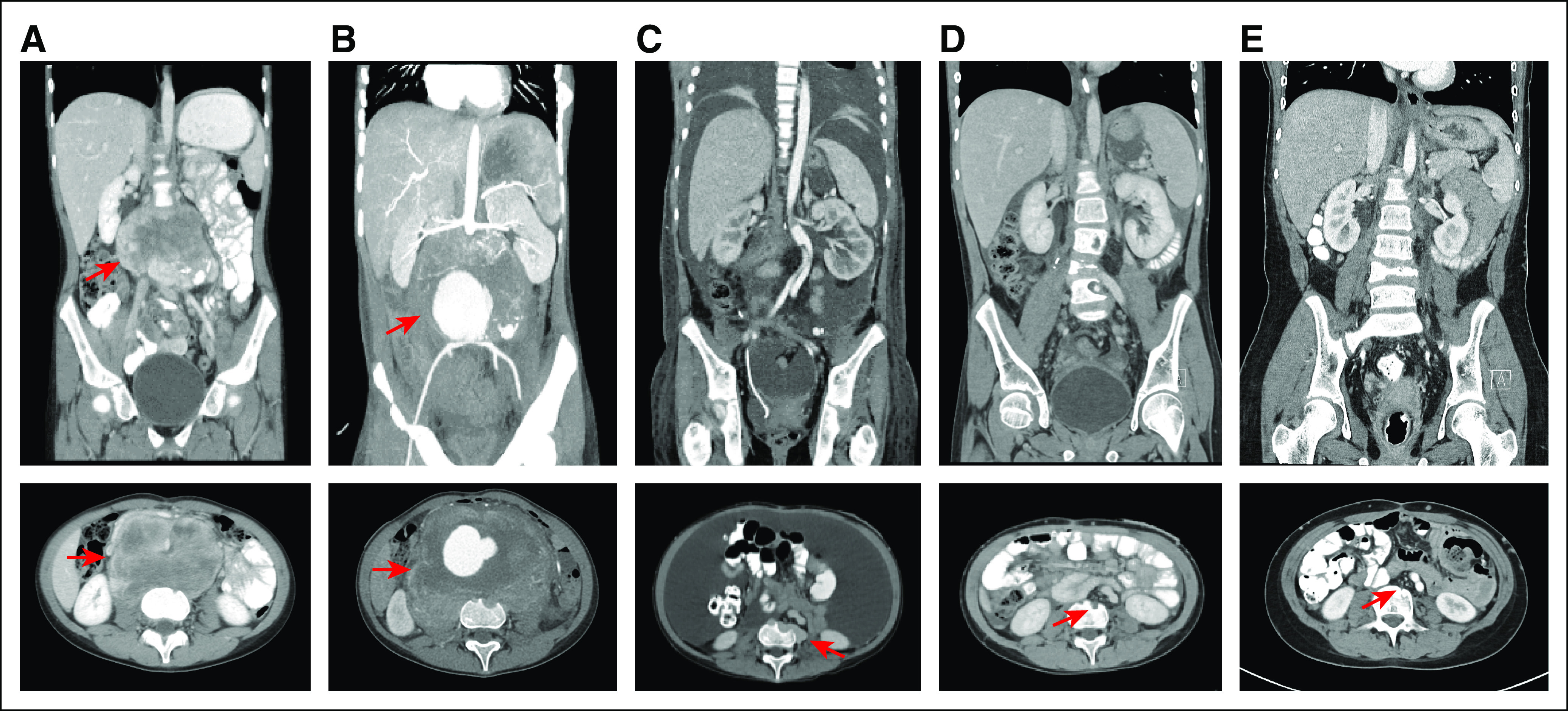 Fig 1.