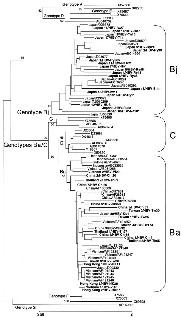 FIG. 2.