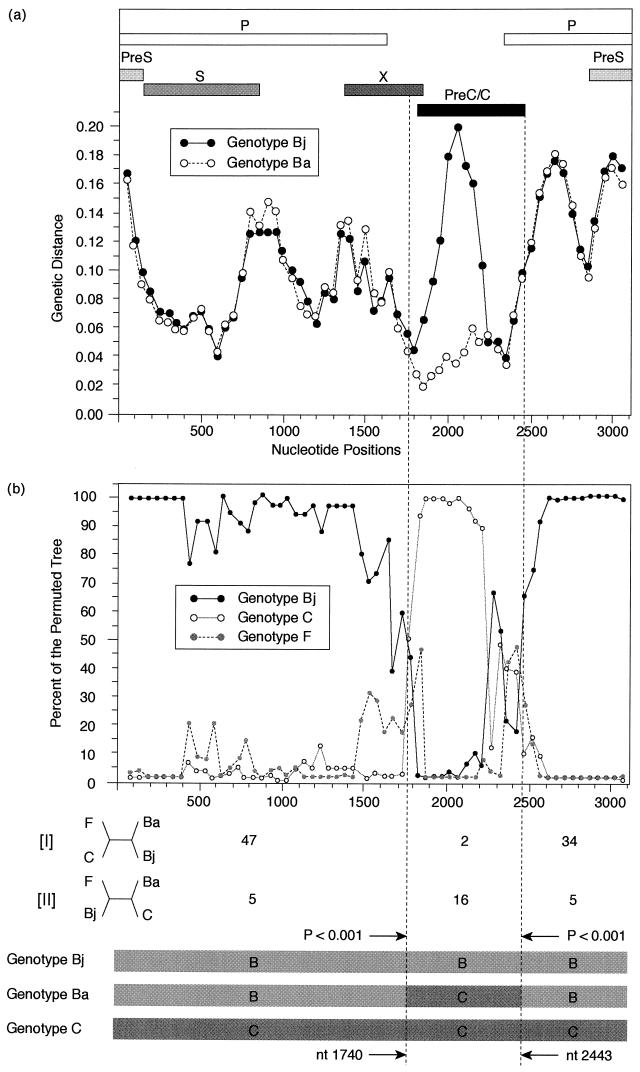 FIG.3.