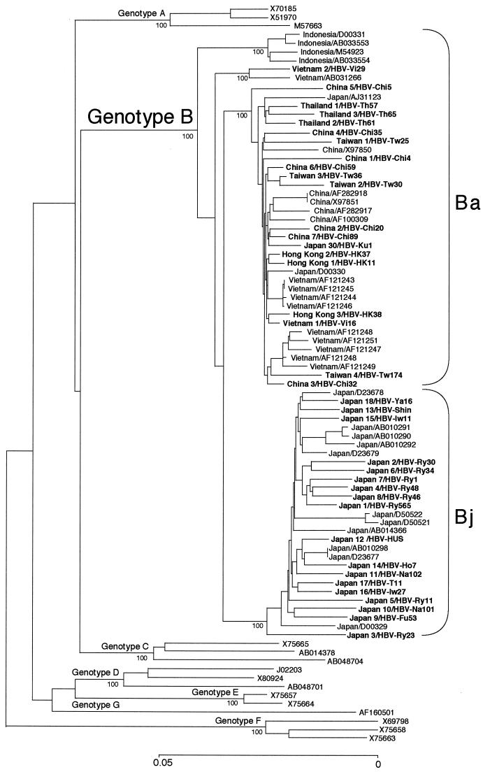 FIG. 1.