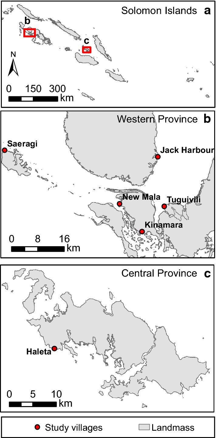 Fig. 1