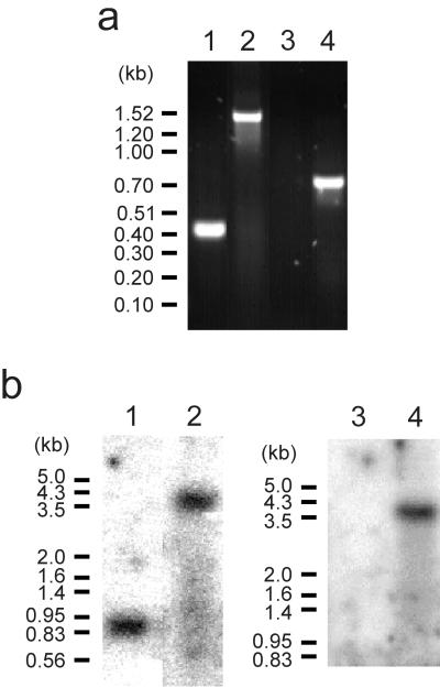 FIG. 5