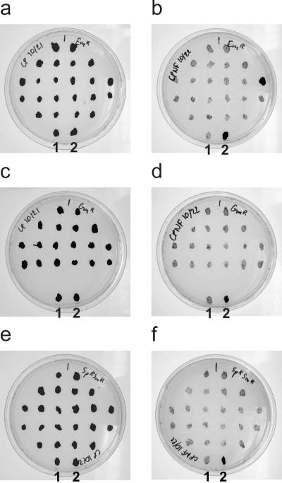 FIG. 4