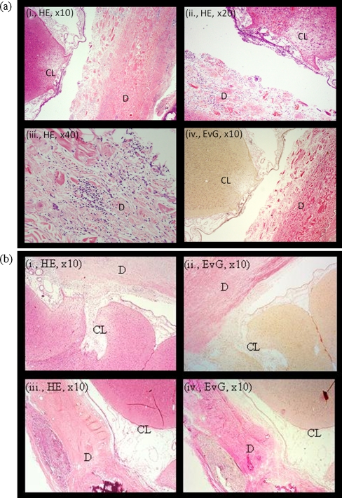 Fig. 4