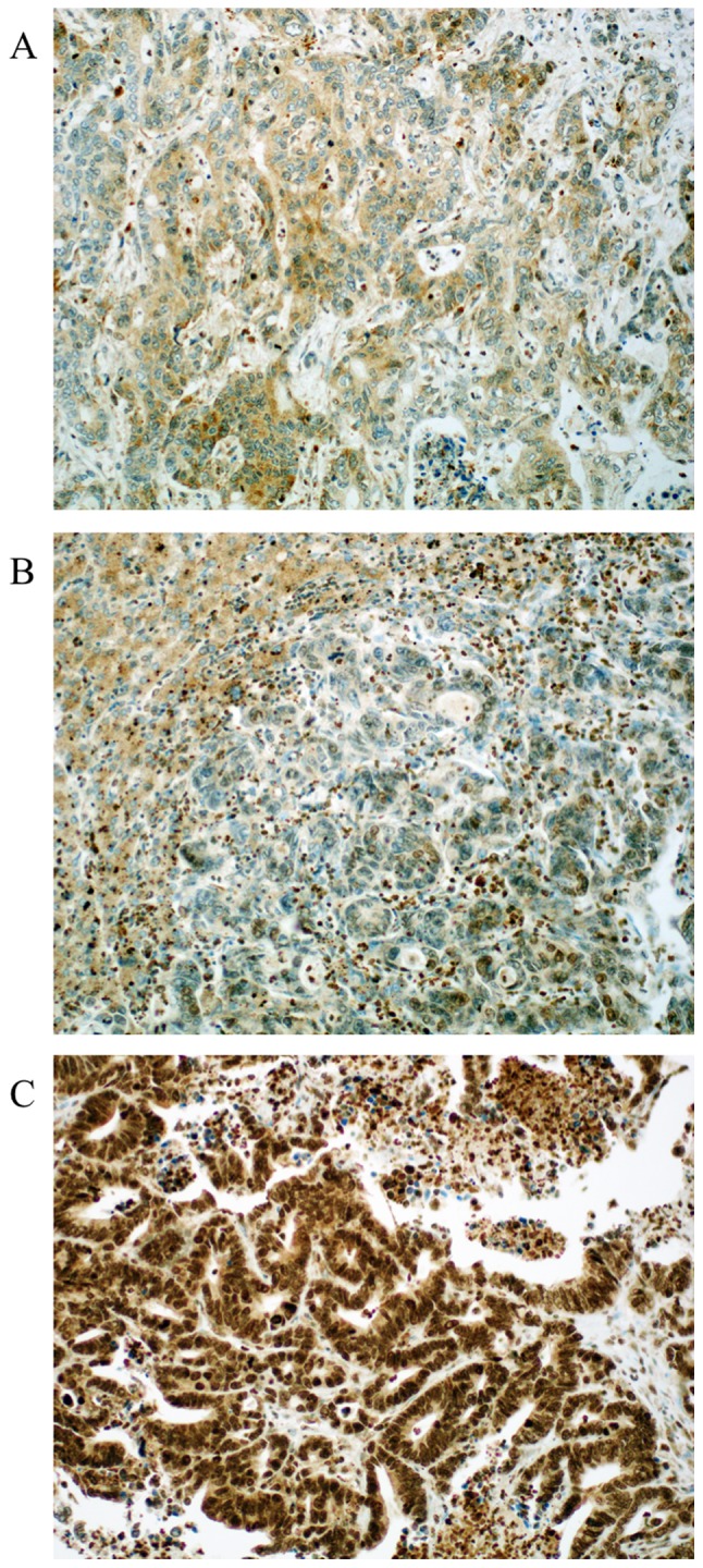 Figure 3.